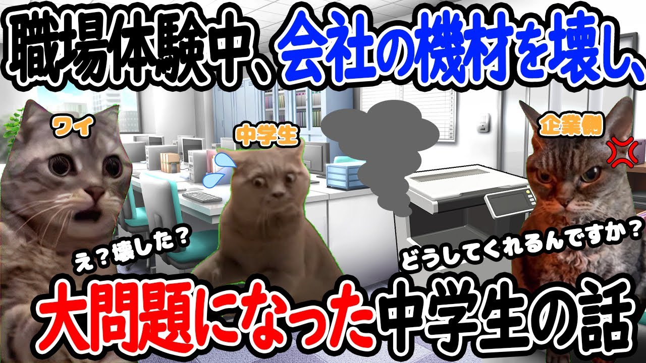 【ほぼ実話】職場体験中、会社の機材を壊し、大問題になった中学生の話【猫ミーム】【猫マニ】