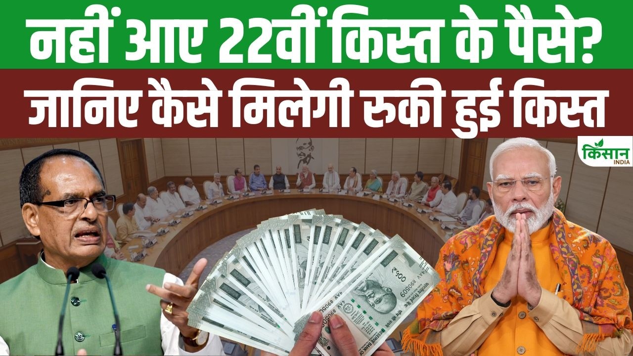 PM Kisan 22th Installment: नहीं आए 22वीं किस्त के पैसे? जानिए क्या करें? कैसे मिलेगी रुकी हुई किस्त