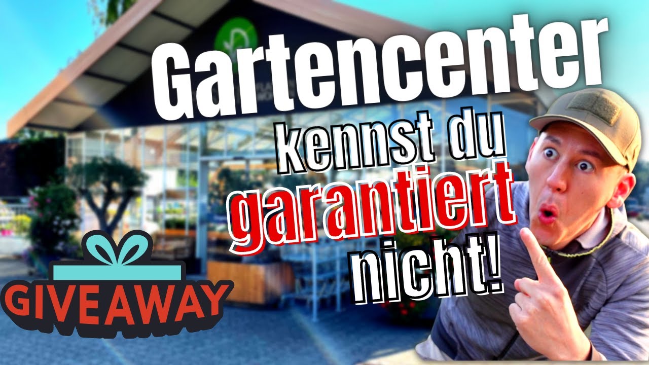 Pflanzenraritäten im kleinen Gartencenter - Monstera Alocasia und vieles mehr