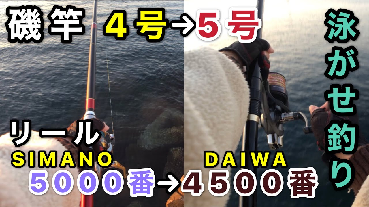 新旧タックルで泳がせ釣り！どちらも大物がHITしたので釣りくらべ！【泳がせ釣り】