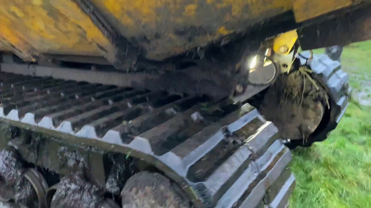 Bergmann 4010 dumper
