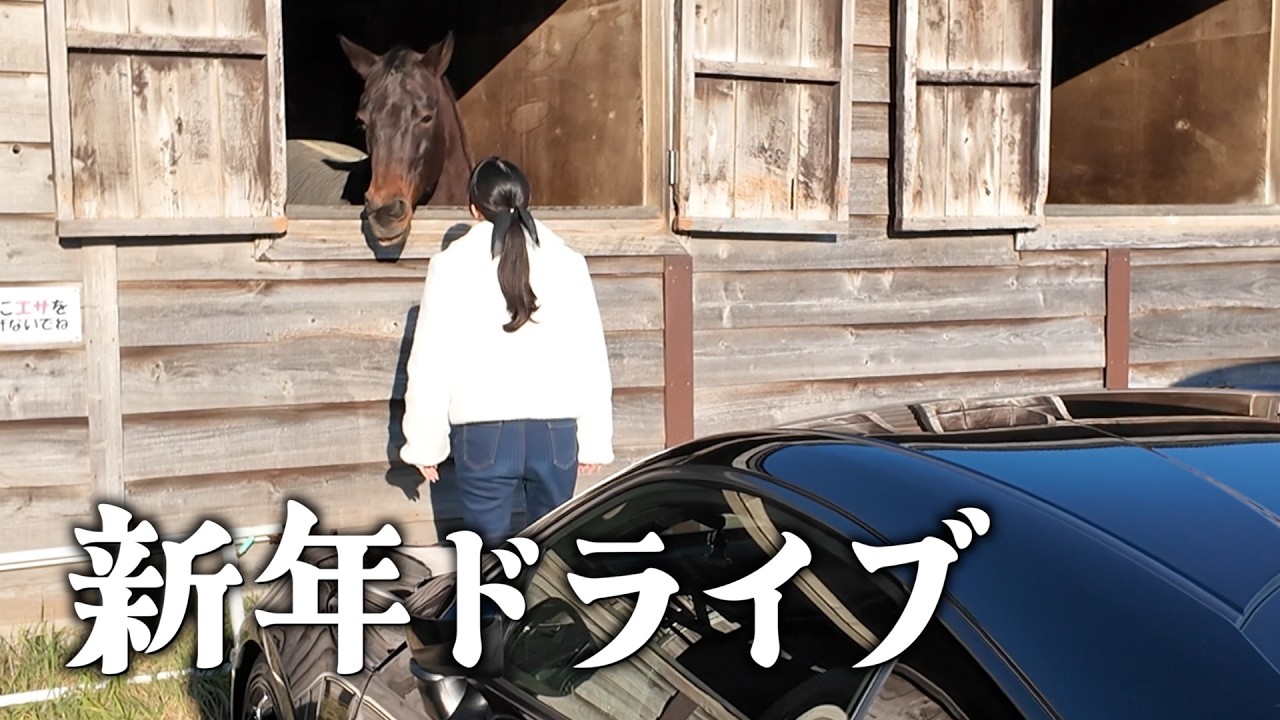お馬さんと元日の九十九里浜🐴 with 86