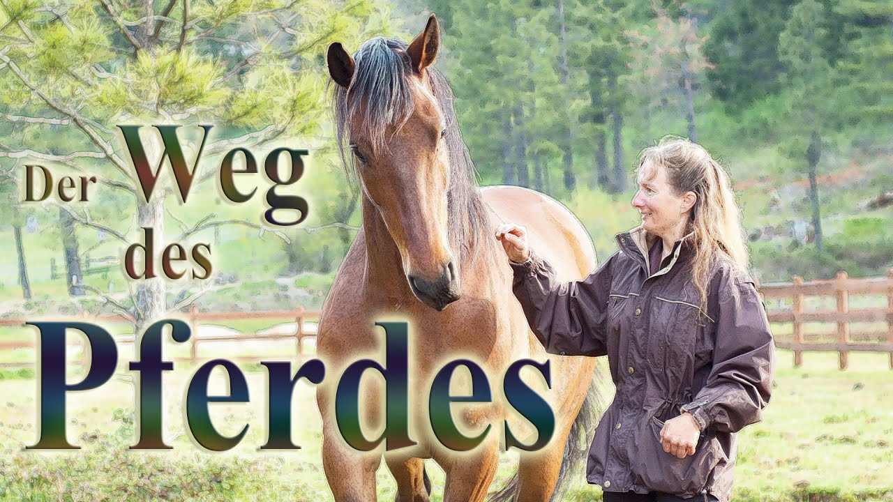 Der Weg des Pferdes - Dokumentarfilm - Deutsch Untertitel