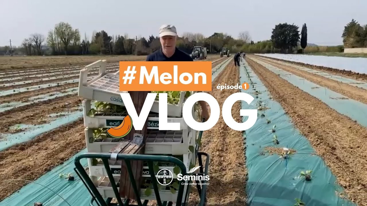 Vlog Melon 2022 - épisode 1 (Plantation Mars)