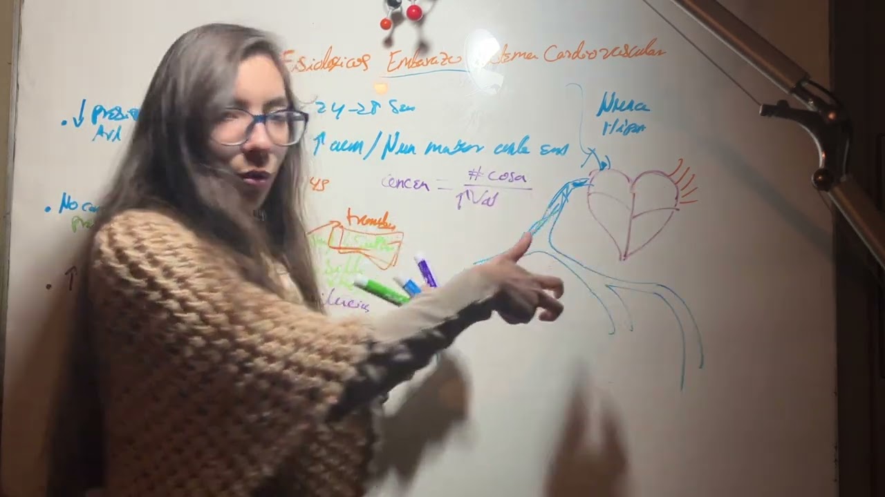 Cambios Fisiológicos Aparato Cardiovascular Durante el Embarazo. Versión Detallada