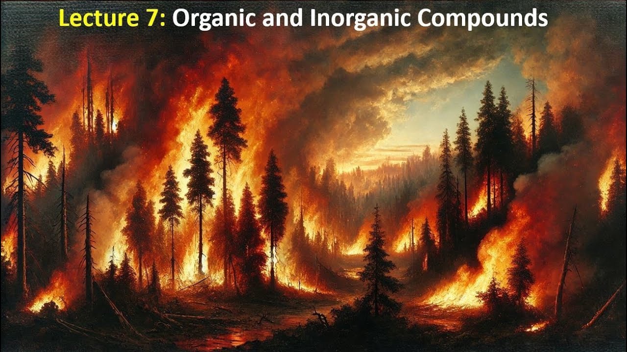 LECTURE 7: Organic and Inorganic Compounds