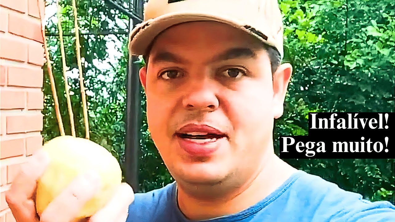 Massinha pra pescar LAMBARI | Isca para lambari