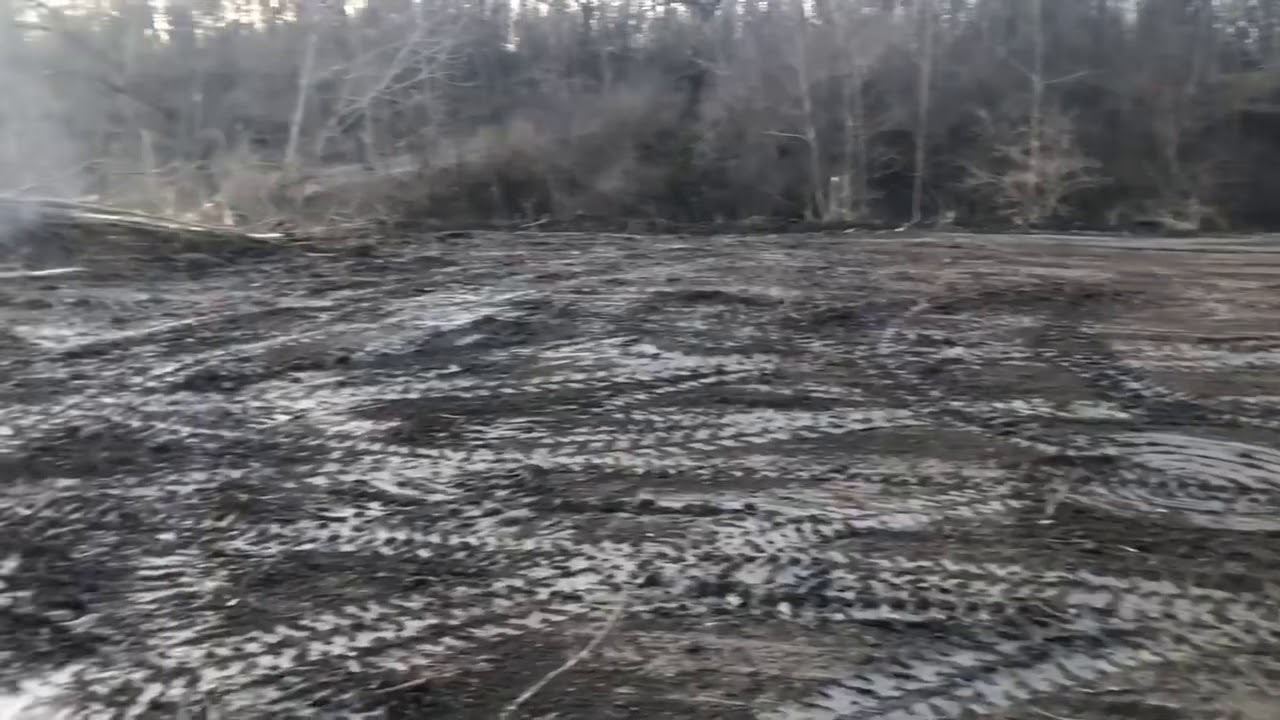 Clearing a lake lot