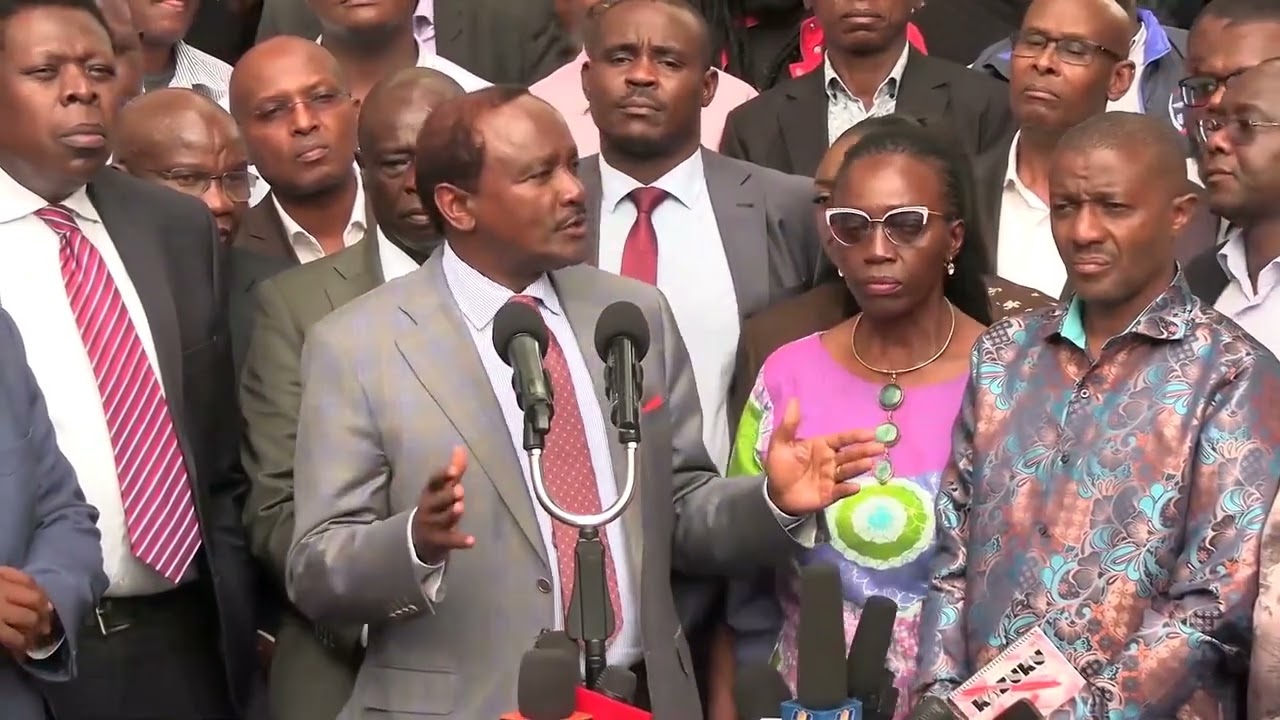 Kalonzo Musyoka addresses the crowd outside the IEBC building, voicing important concerns.