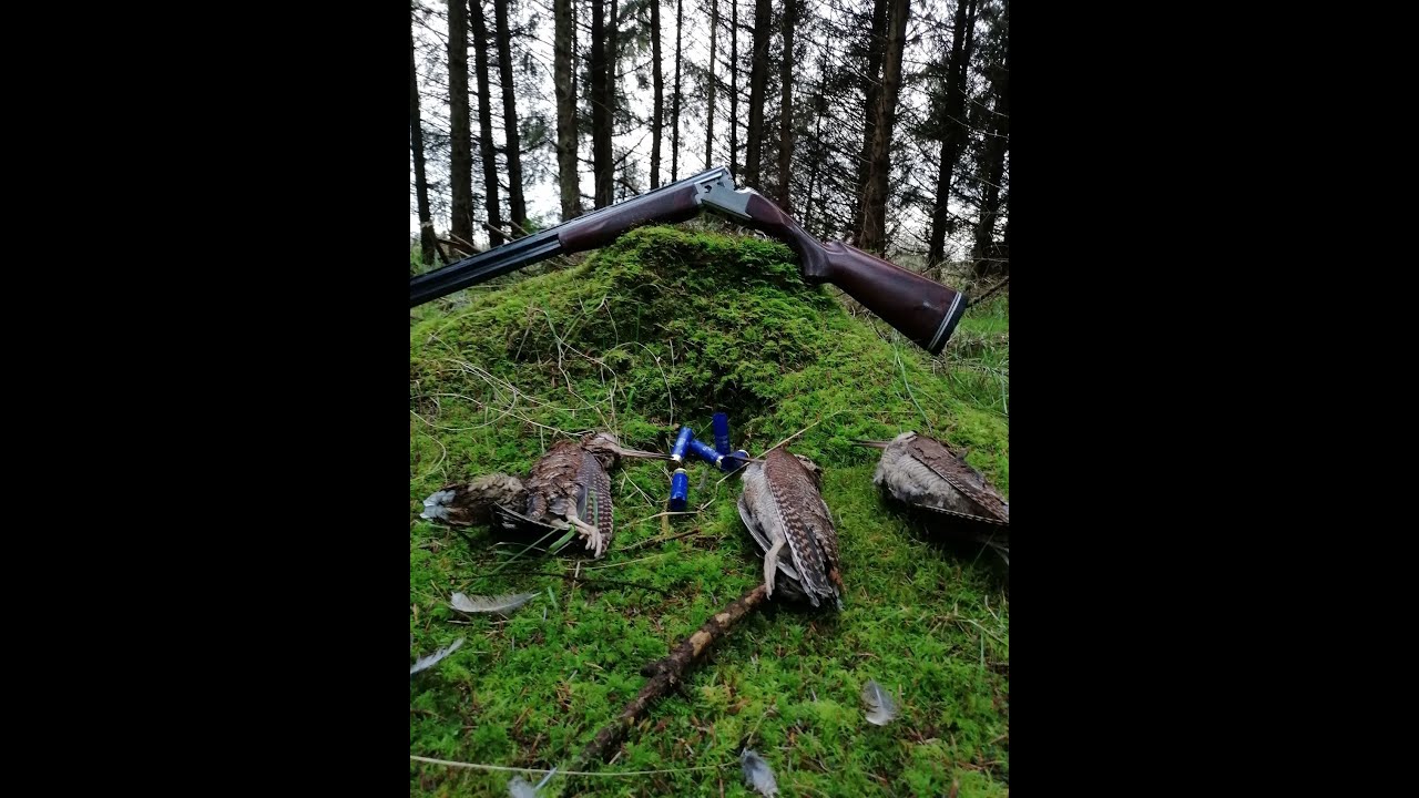 WOODCOCK PARADISE 2021