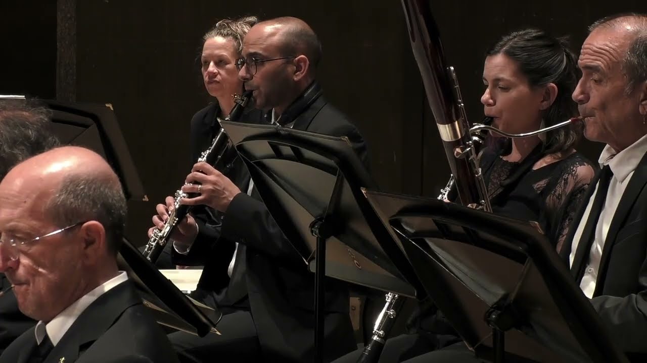 Arriaga / Symphony in D Major | The Israel Camerata Jerusalem | Avner Biron