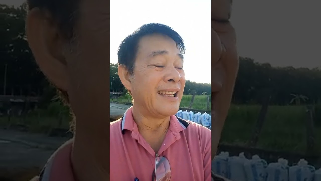 SUPER BIO-N ORGANIC FERTILIZER  PAANO ANG PARAAN NG GAMIT?