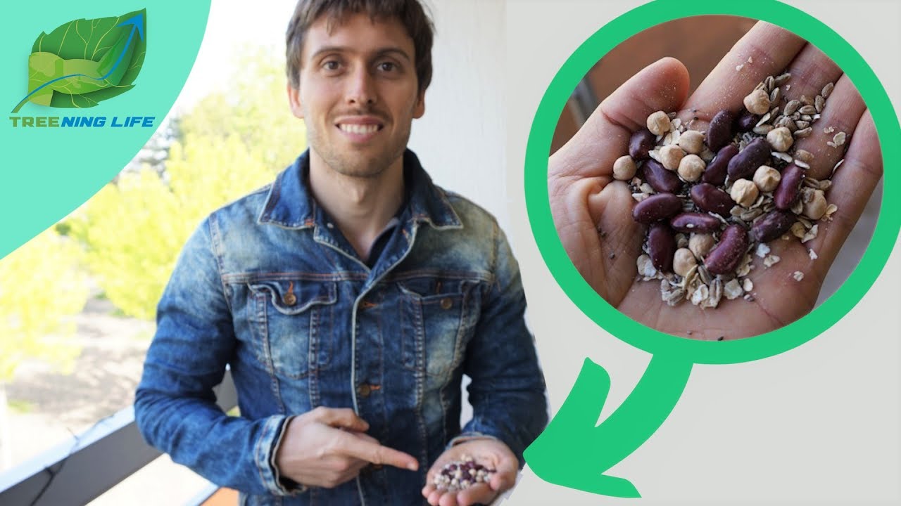 🌱 LES 10 MEILLEURES PROTÉINES VÉGÉTALES
