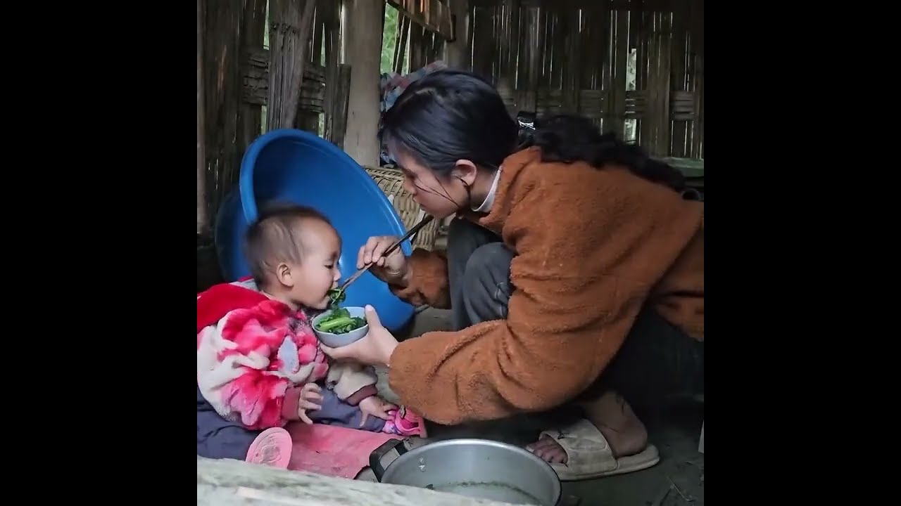 Why Did the Mother Disappear? The Truth Behind the Little Girl Alone in the Woods”