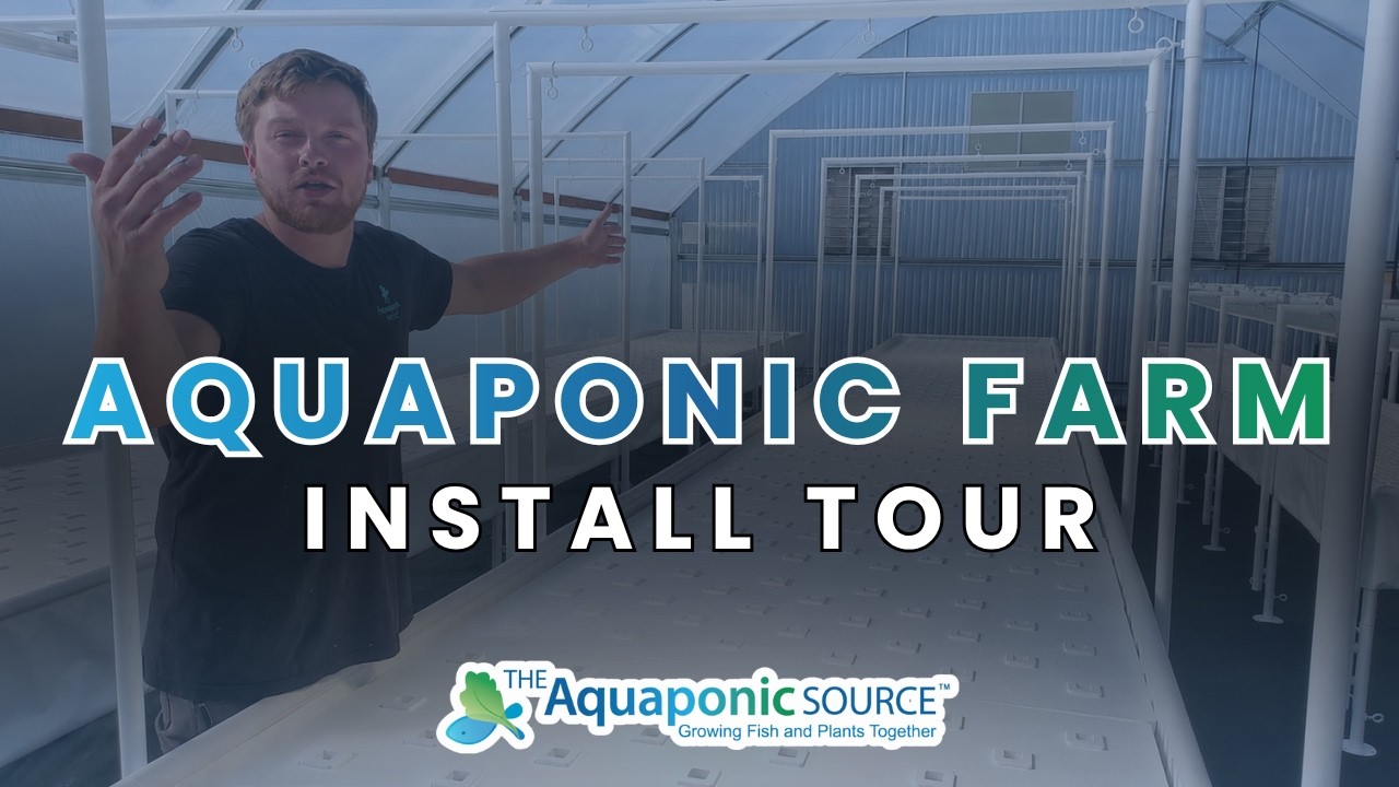 Flourish Farm Aquaponic System Tour