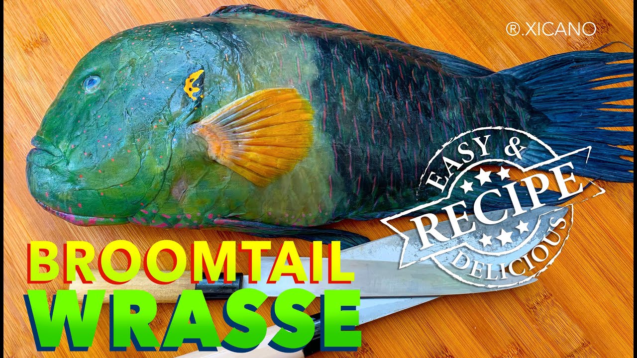 Broomtail Wrasse || Clean, Fillet & Cook