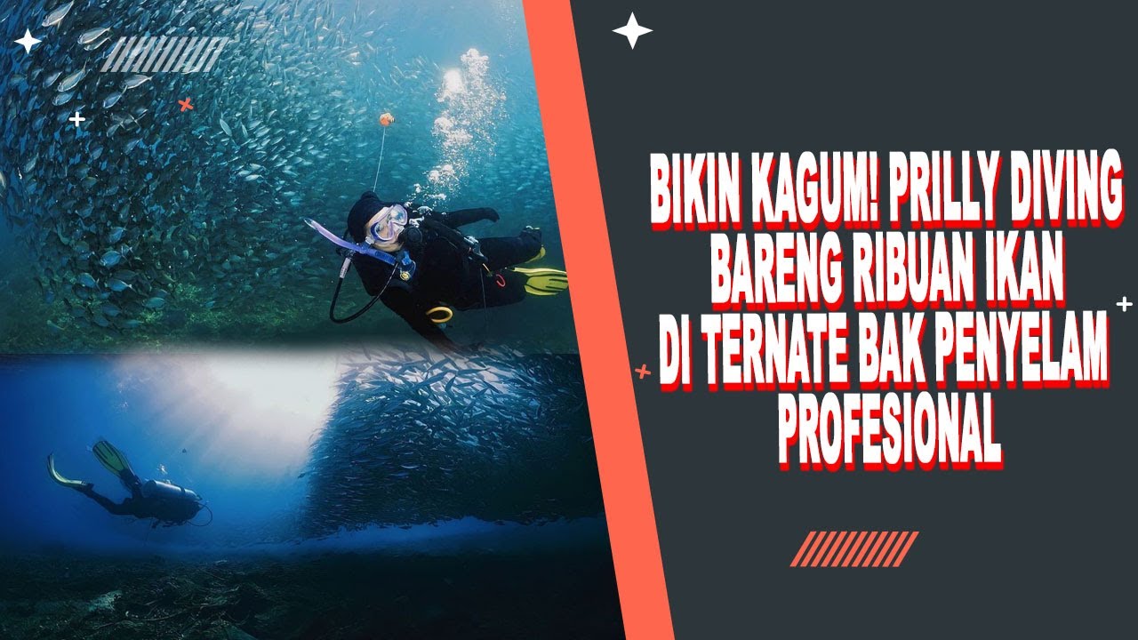 MAXIME LUNA MAYA MAKIN BUCIN, PRILLY ASYIK NGEJAR HOBI DIVING