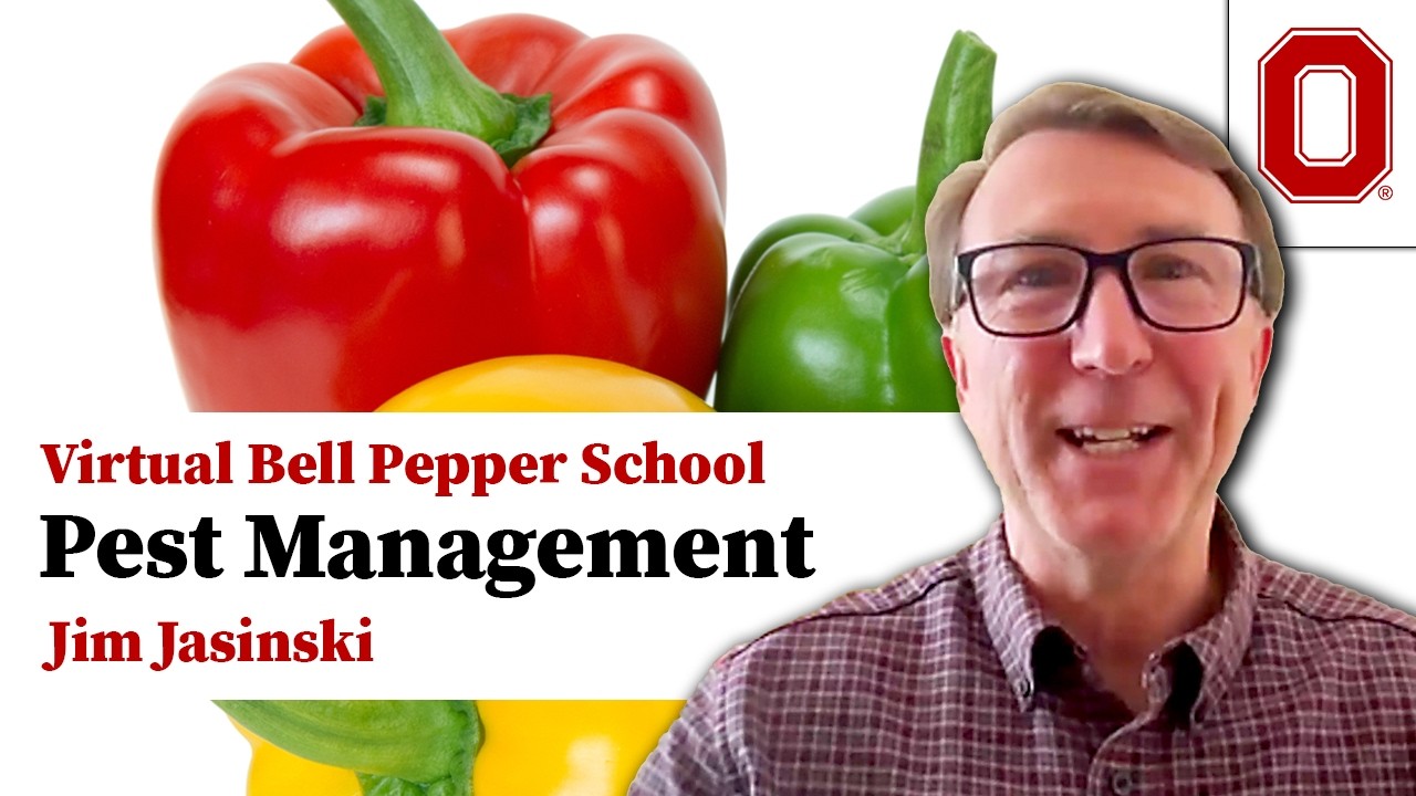 Bell Pepper Pest Management - Jim Jasinski