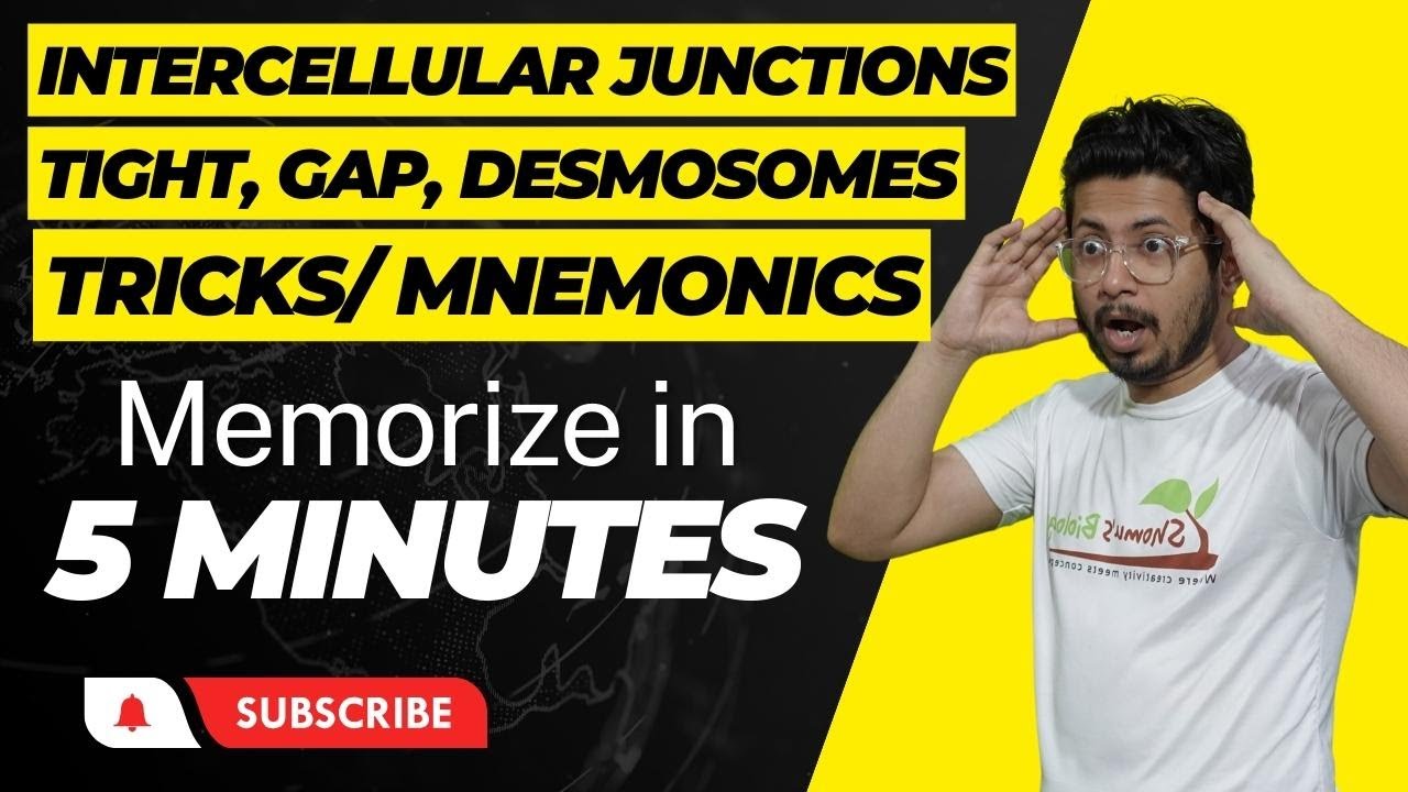 Intercellular junctions | tight junctions desmosomes and gap junctions | Types of cell junctions