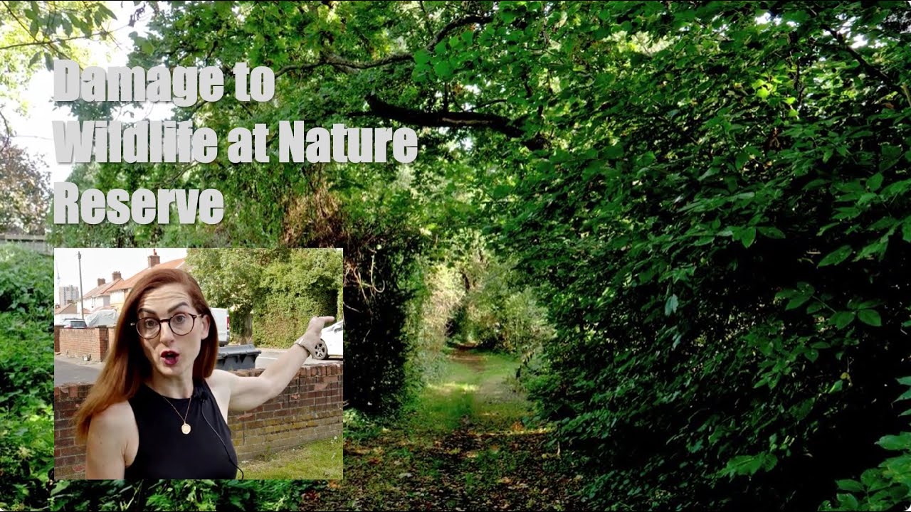 Damages to wildlife in Deans Brook Nature Reserve