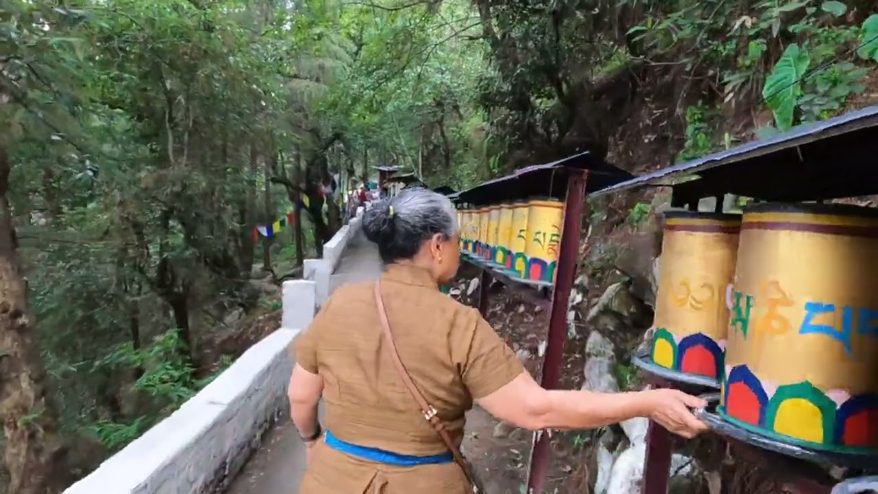 Dharamsala Lingkhor // Lingkhor Kora chik // #tibetanyoutuber