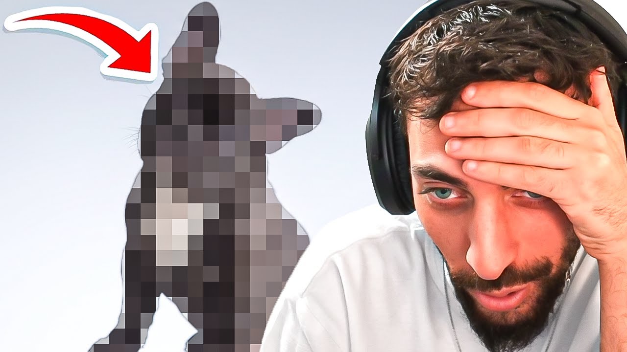 *זה* הכלב שאני רוצה