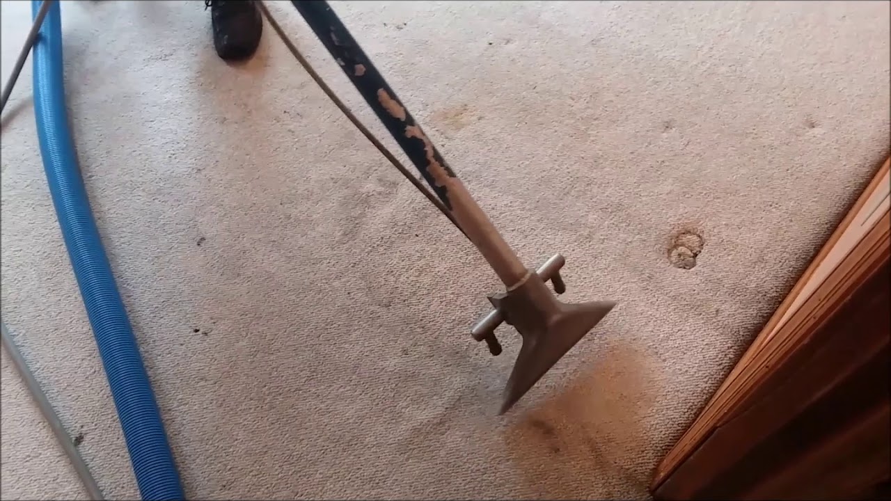 Should I try to clean my carpet or should I replace it?
