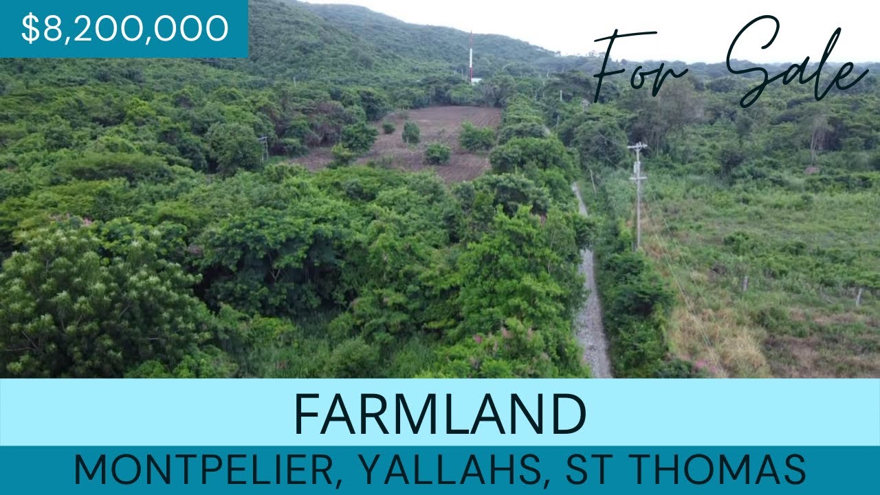 FOR SALE  FARMLAND in YALLAHS ST. THOMAS
