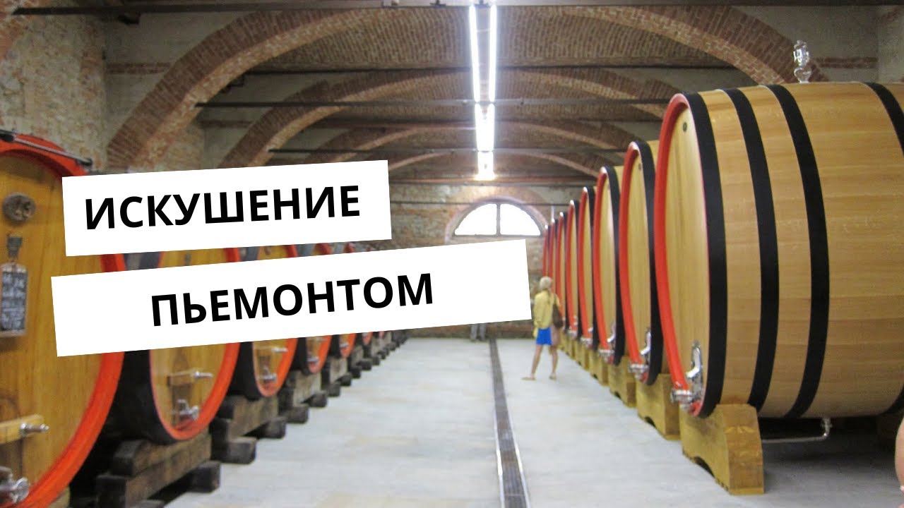 Поговорим о винах Ланге и Пьемонта с Димой М.