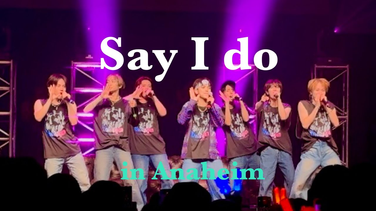 Say I do