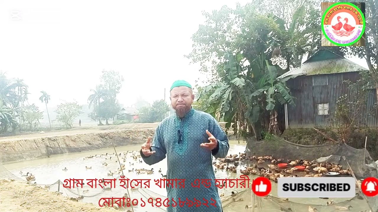 রানিং ডিমের হাসঁ  জাত খাকি  ক্যাম্বেল ৮০% ডিমের#viral # for you