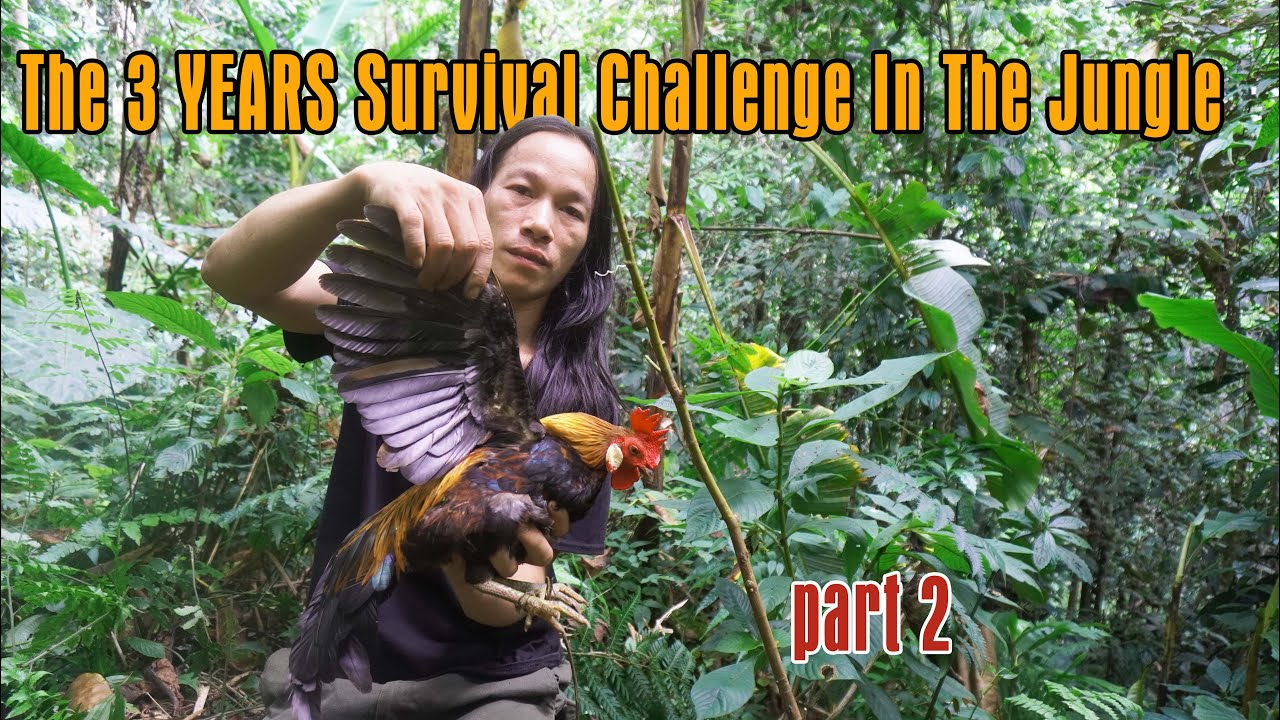 COMPILATION VIDEO: The 3 YEARS Survival Challenge In The Jungle: part 2