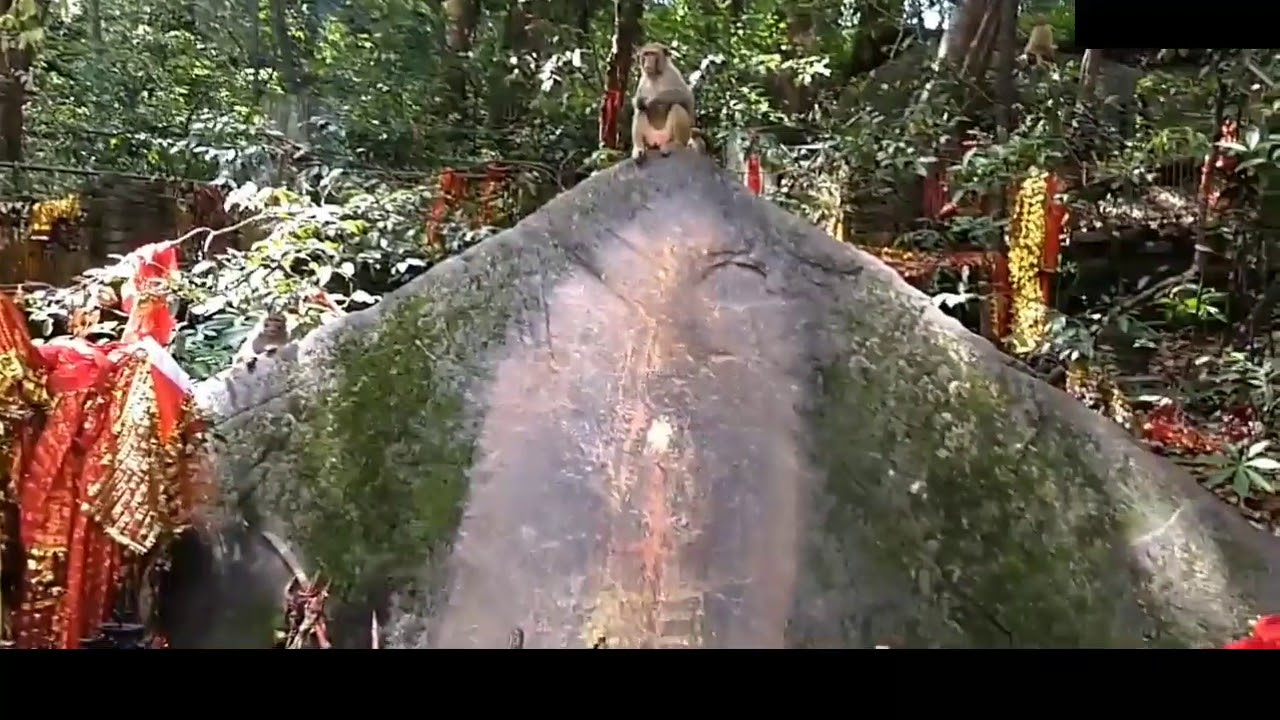 उत्तराखंड के इस मंदिर पर दिखता हैं माता का दैविक शक्ति का रूप जय होकरा माता (भगवती)