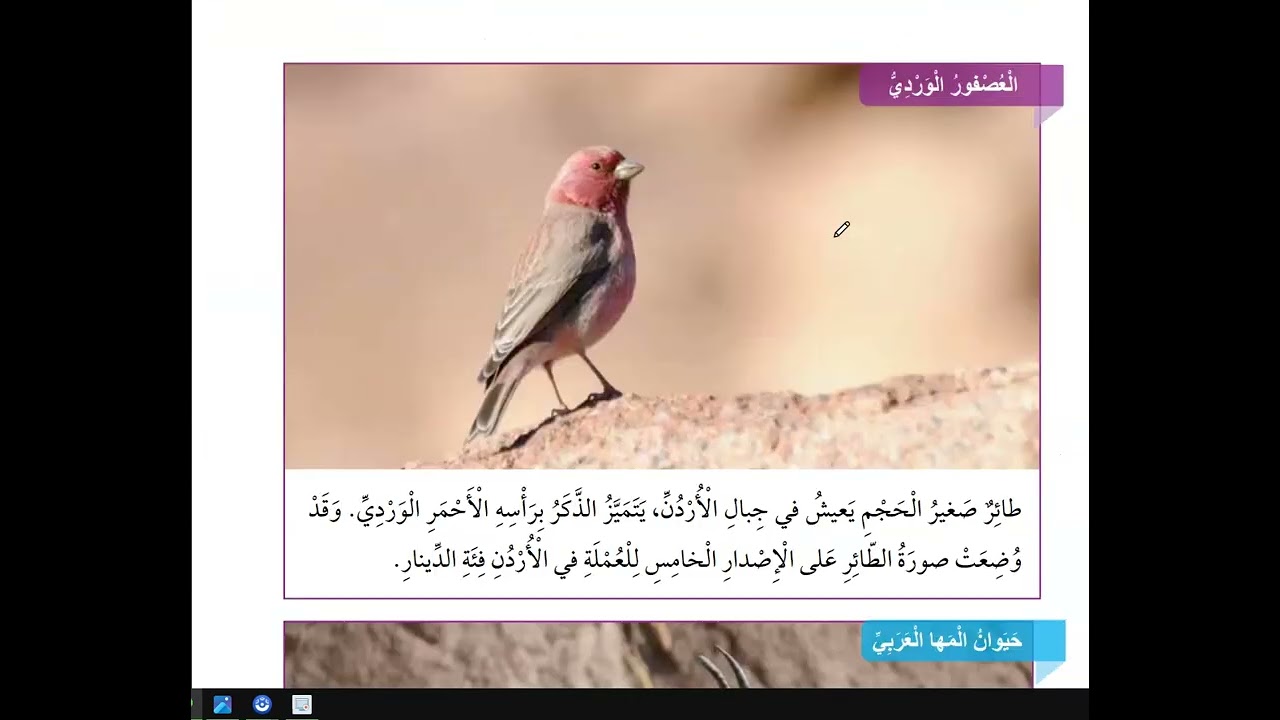 الحياة البرية في الاردن صف رابع اجتماعيات درس 5 الوحدة 4 ( منهاج جديد 2023 )