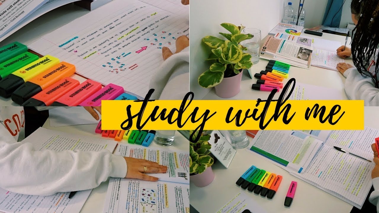 STUDY WITH ME : GCSE MOCK EDITION