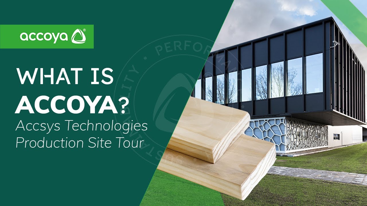 What is Accoya Wood? | Accsys Technologies Site Tour