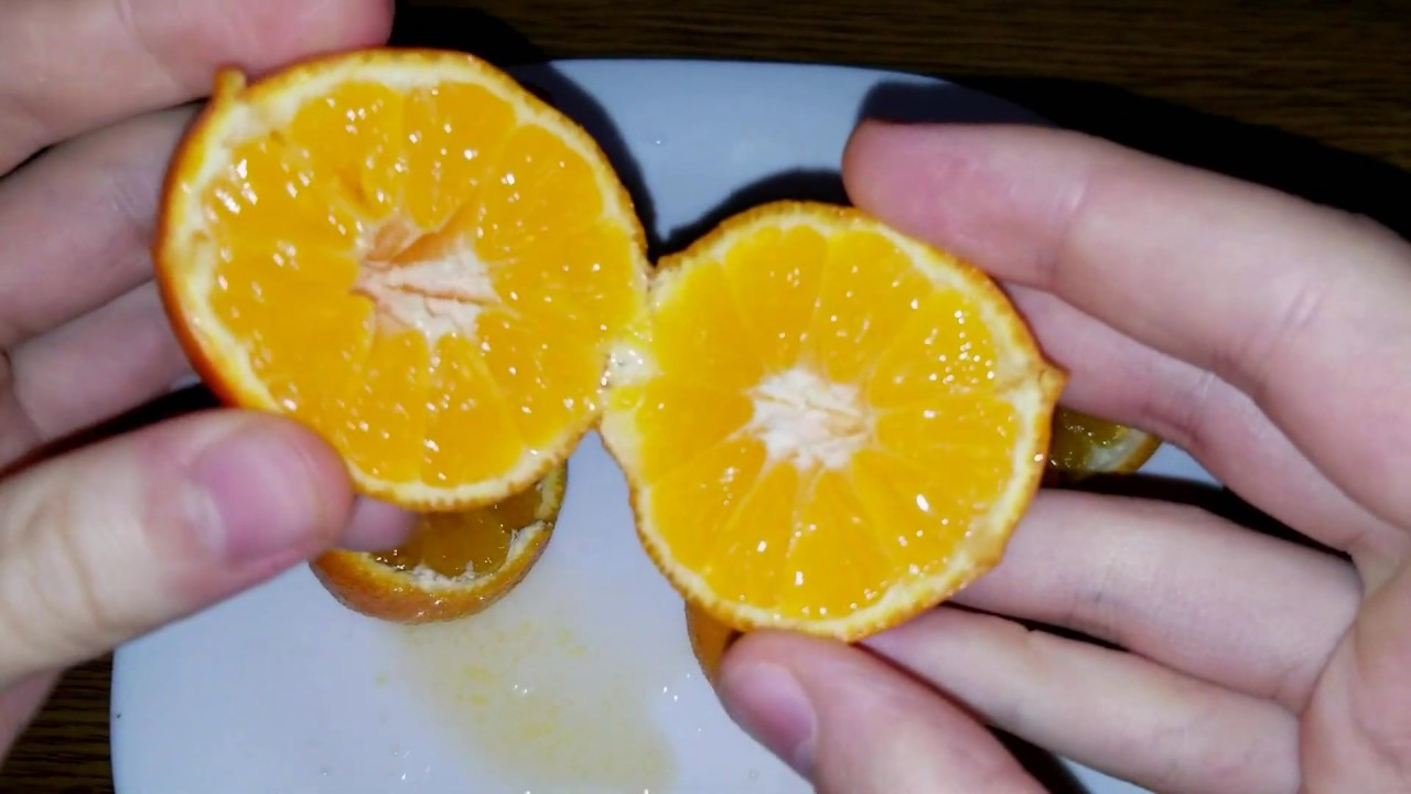 Citrus clementina Comune / Clementine Comune (Клементин Комуне)