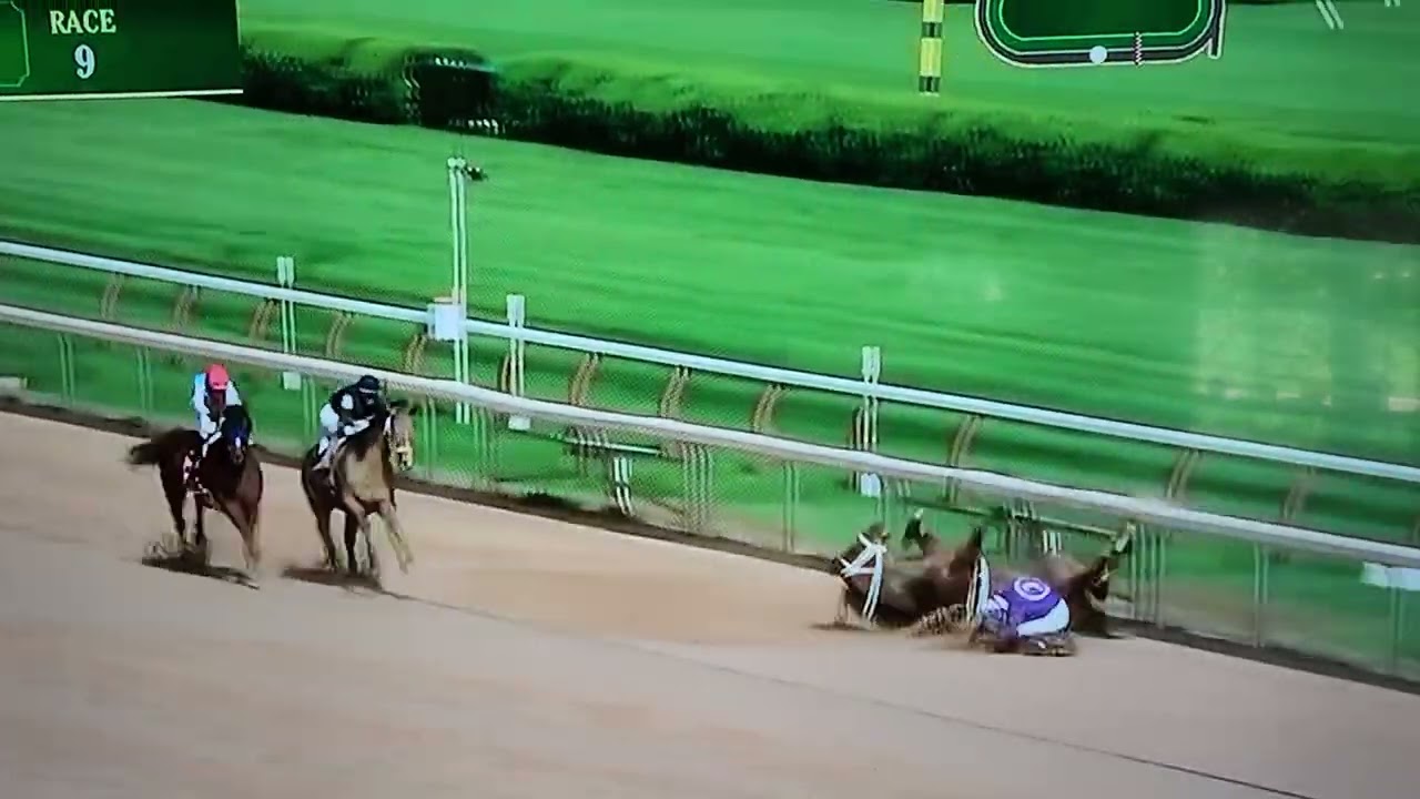 New York Thunder breaks leg at Saratoga, is euthanized.