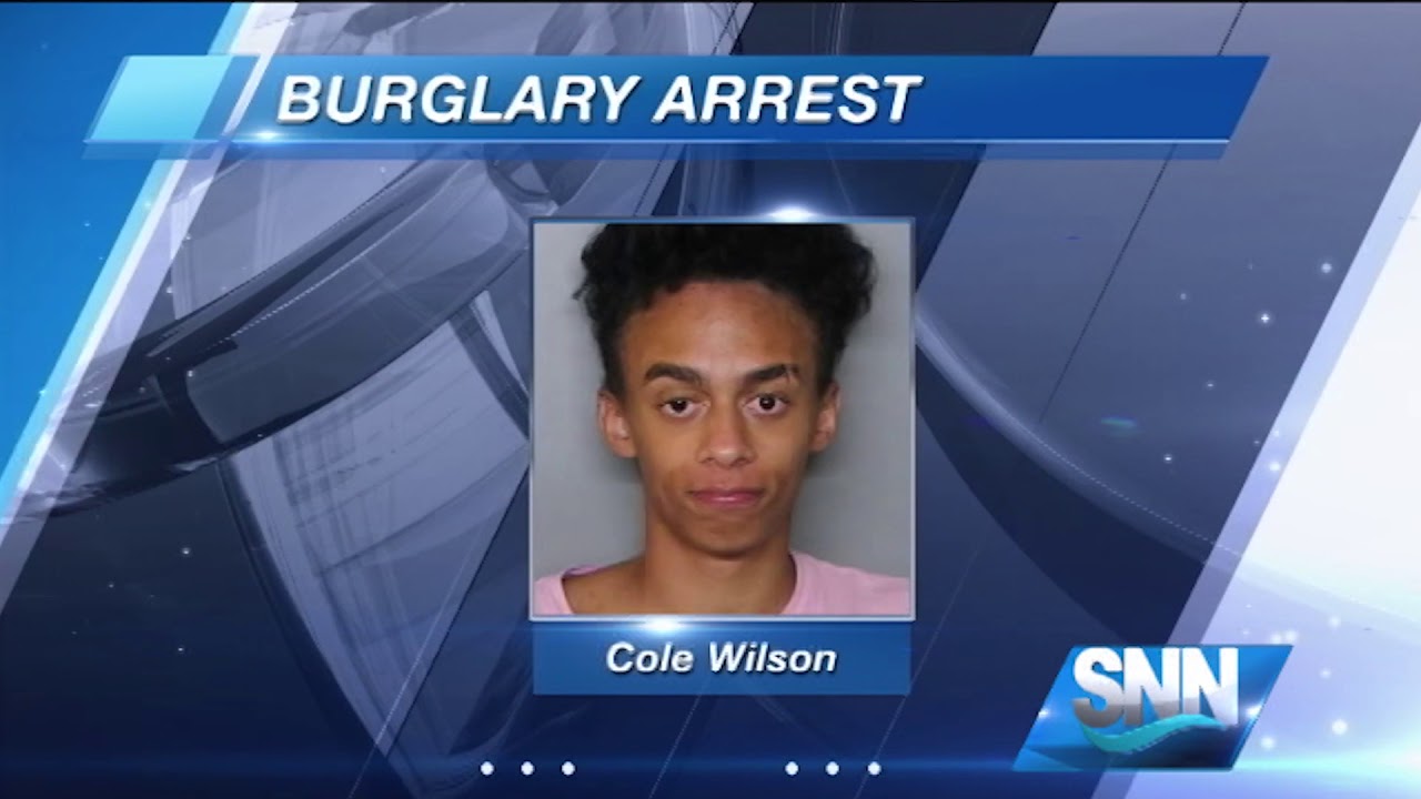SNN: An alert citizen helps nab a burglar