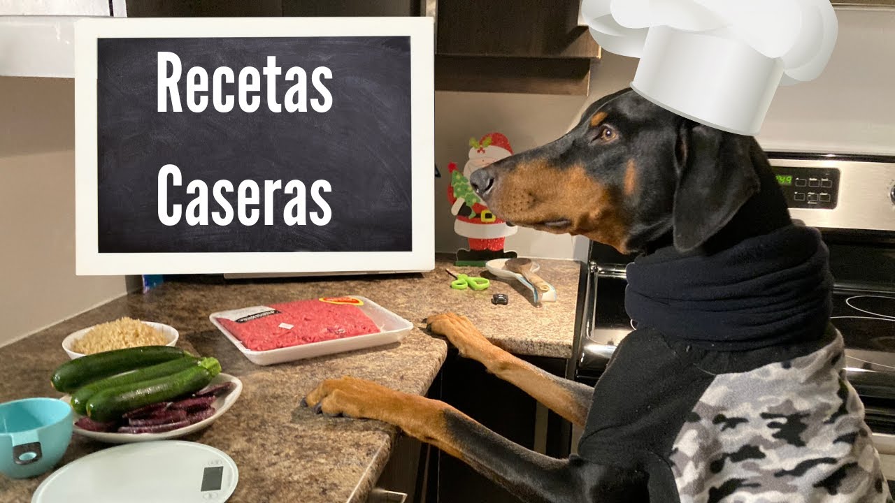 Receta Saludable Casera para tu Perro/Doberman ! Super Facil !