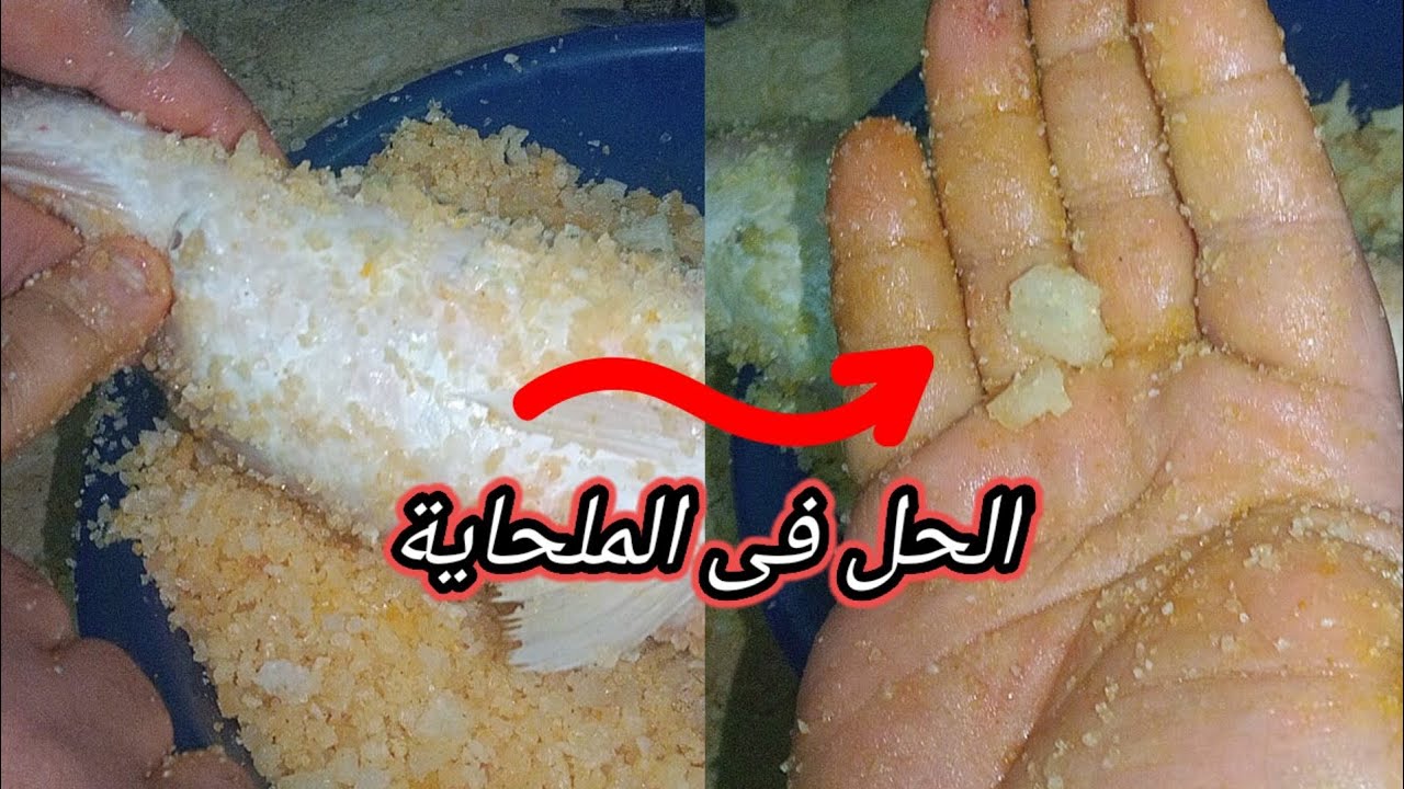 لو فسيخك بطنه اتفتحت قبل التمليح الحل فى الملحاية
