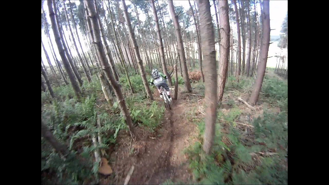 Mountain Biking Guisborough