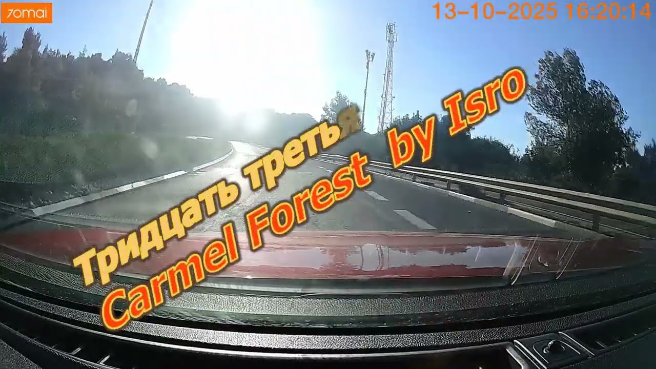 Karmel Forest Isrotel . Кармель Форест Spa -курорт Исротель Эксклюзив Коллекн.