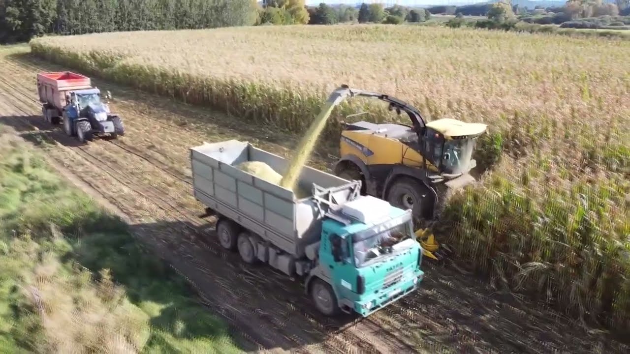 Siláže 2022 | BPS ZOD Máj Kestřany | Agro Radomyšl | New Holland FR650, 8x Tatra, Case, JD, NH