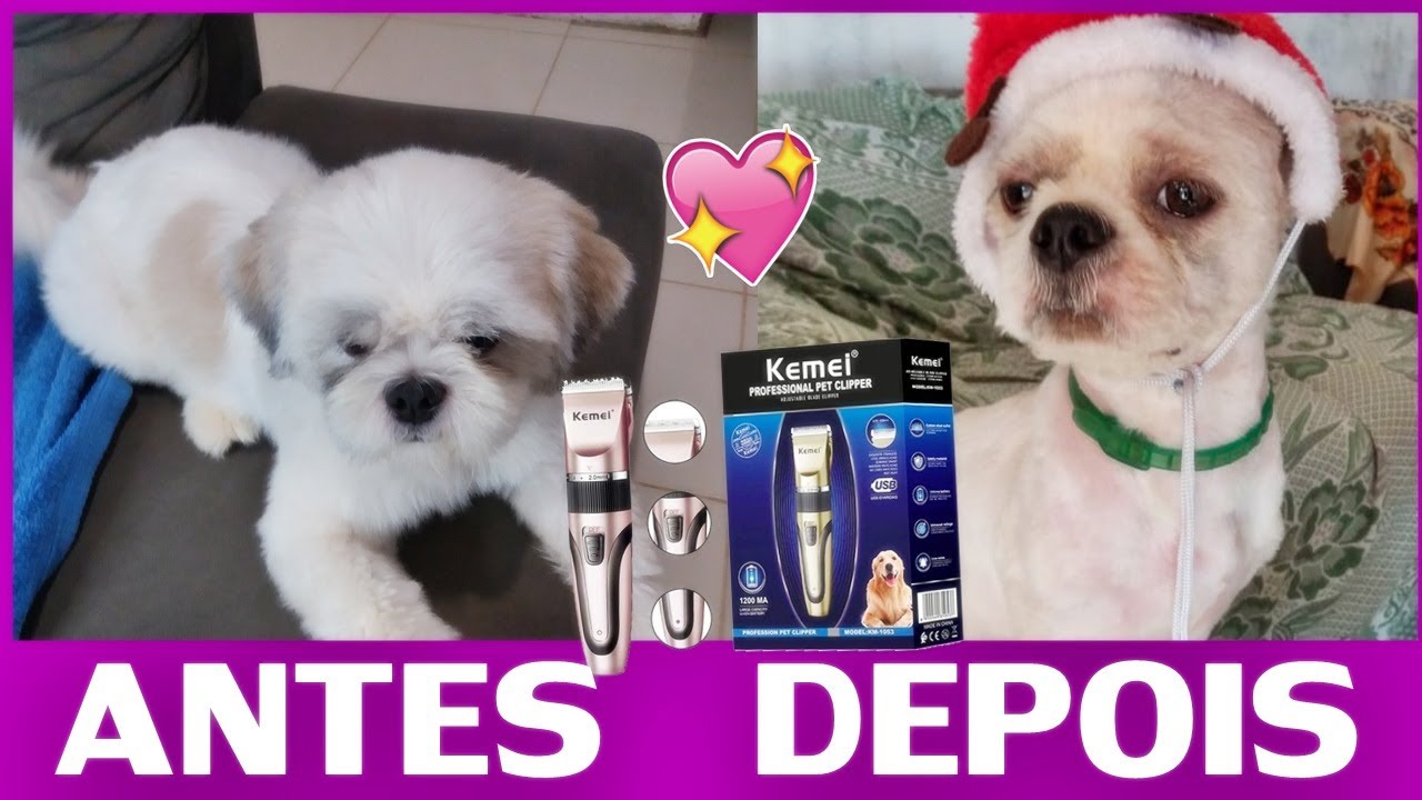 Tudo Sobre A Máquina de Tosa Pet Profissional Kemei Km-1053 Kemei Muito Barata, Será Que Vale Apena?