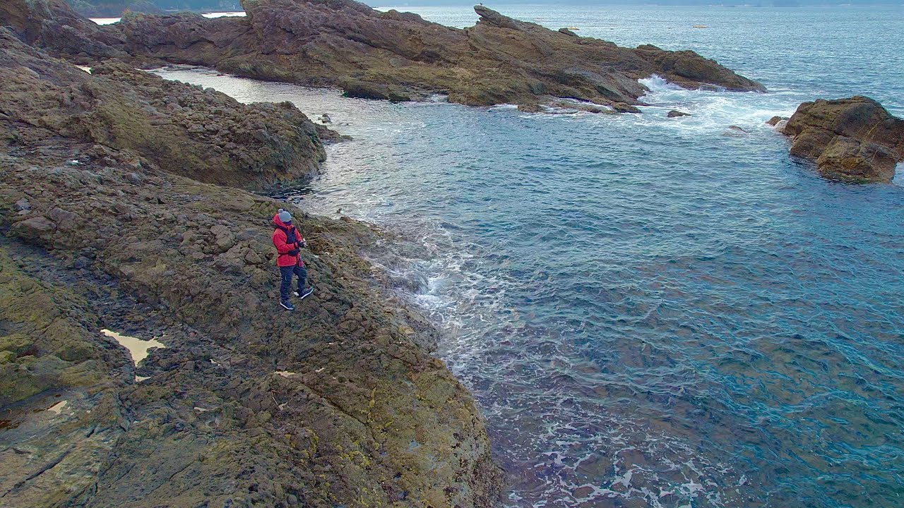 冬のデカイカ完全攻略！