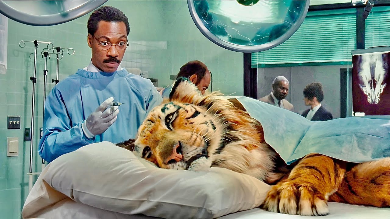 Saving a Tiger Was a Huge Mistake 😳