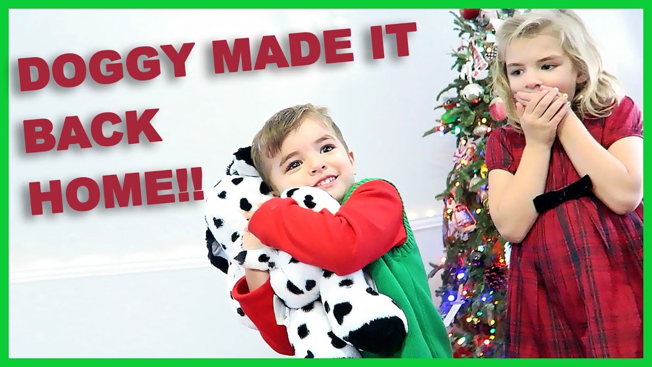 😭 BOY GETS LONG LOST DOG FOR CHRISTMAS!! | Sam & Nia
