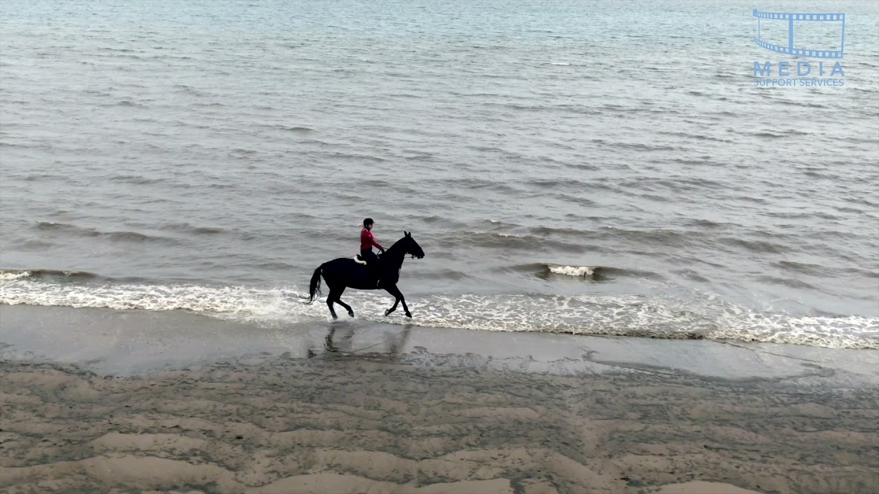 Equestrian Beach Ride and Field Farm Experience at Mumby, Lincolnshire