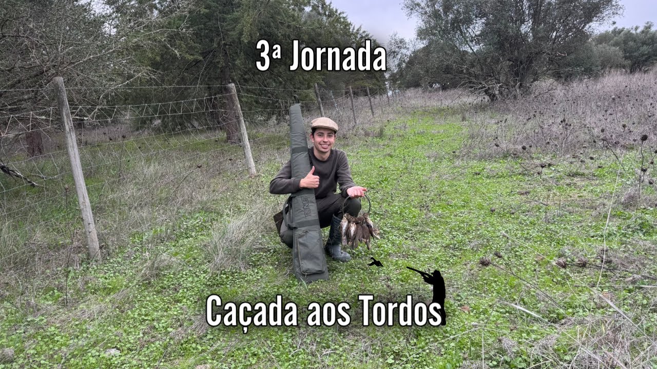 🌴 CAÇA AOS TORDOS , UMA ENTRADA EXCELENTE DE TORDOS , MUITOS TIROS! 3ª JORNADA